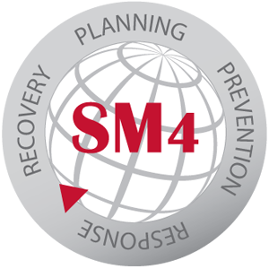 Sm4 Logo Grey